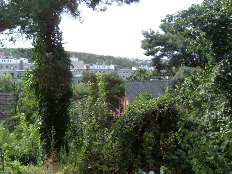 vyhled